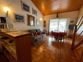 Appartement spacieux près du Lac de Vonnes, à Châtel, prox. centre & télésièges, parking & balcon sud - FR-1-693-55